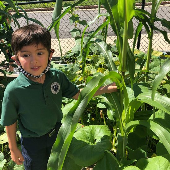 Young male student posing next to a corn plant in the St. Catherine of Siena school garden