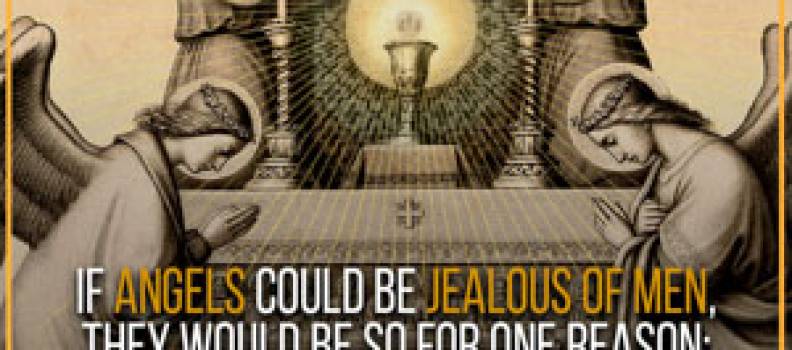 Quote from St. Maximilian Kolbe