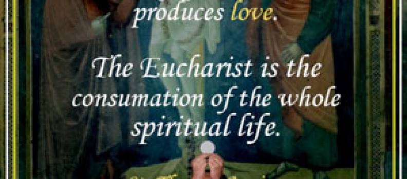 Quote from St. Thomas Aquinas