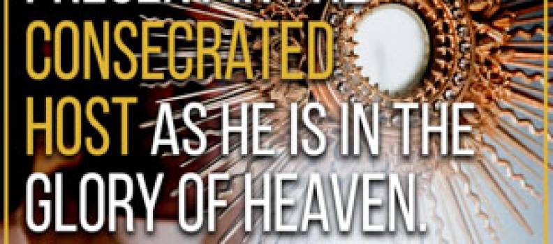 Quote from St. Paschal Baylon