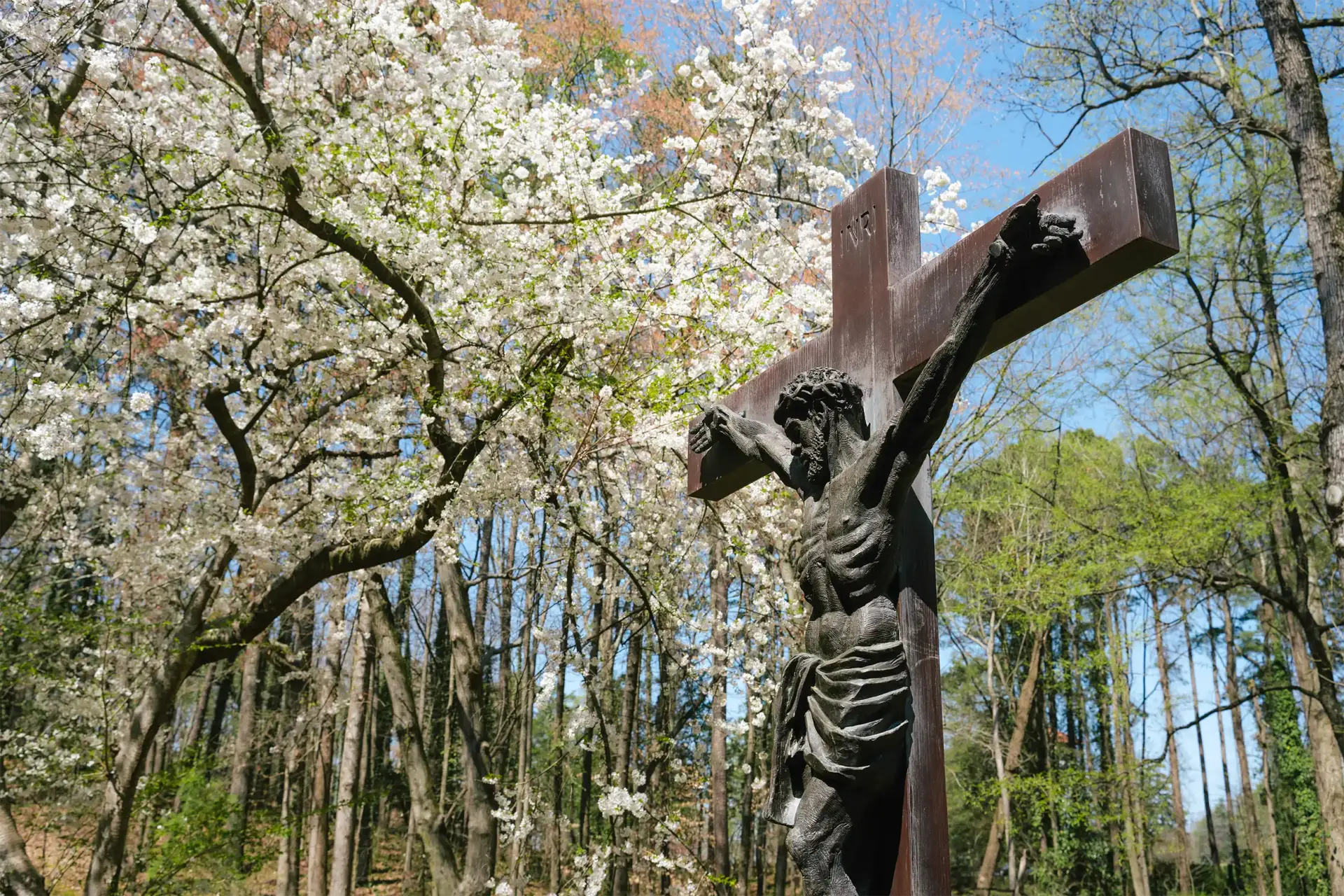 Chancery Cross in Spring